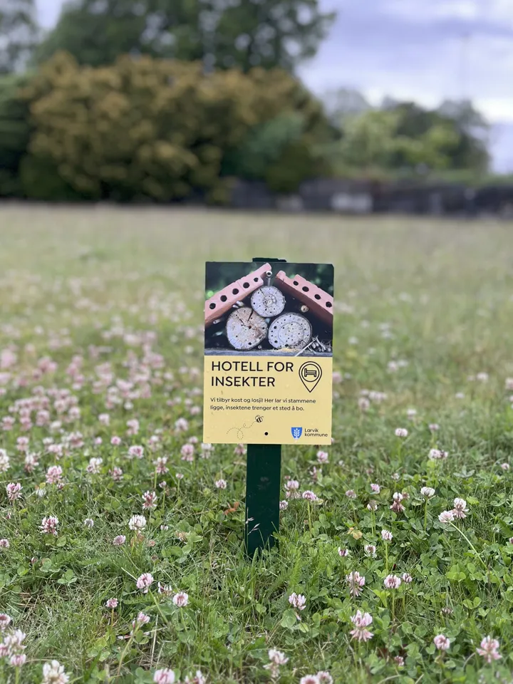 Hotell For Insekter