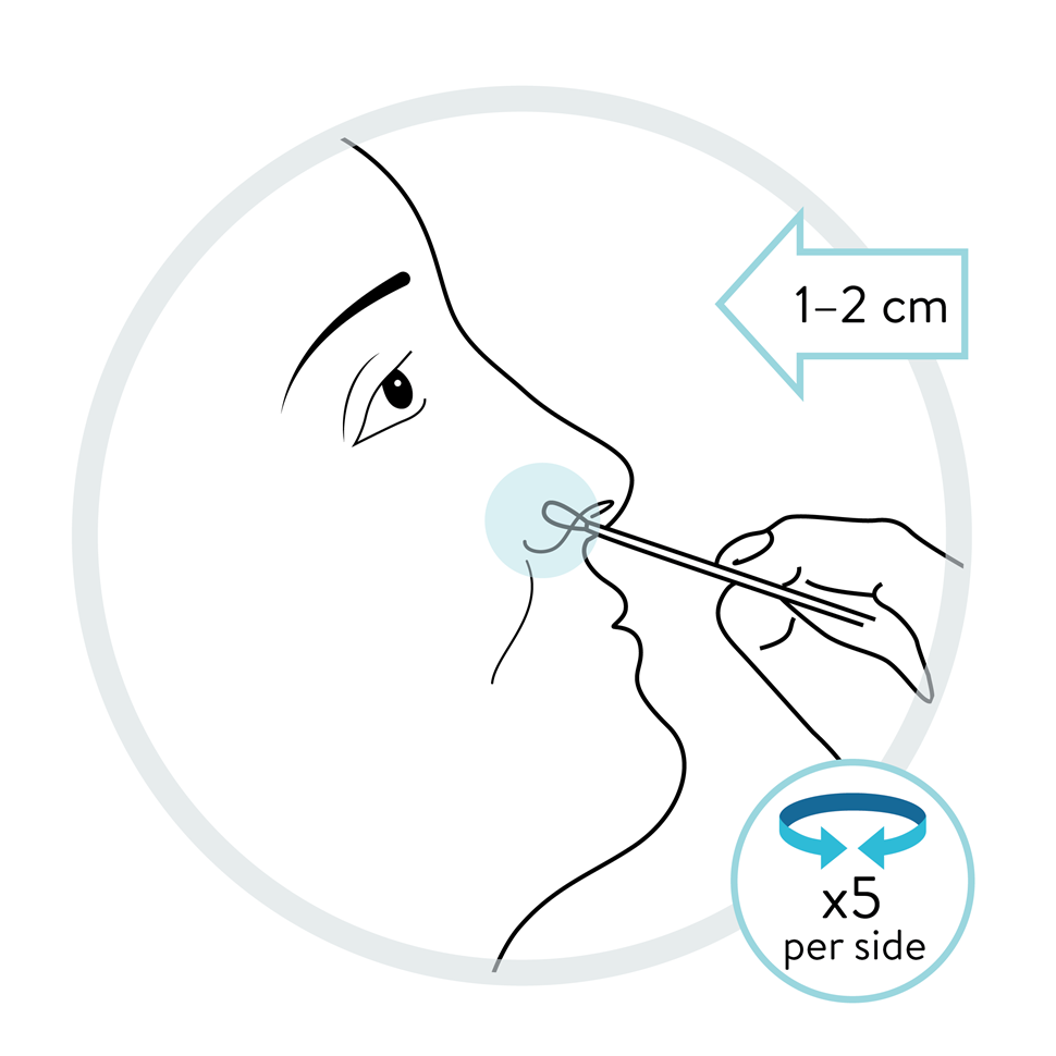 Før så den samme prøvepinnen forsiktig inn i det ene neseboret (1-2 cm inn). Roter penselen ca 5 ganger (10 sekunder) langs innsiden av neseboret. Gjenta prosedyren i det andre neseboret.