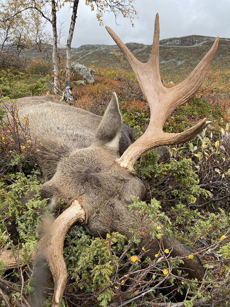 Foto: Lasse Krogstad