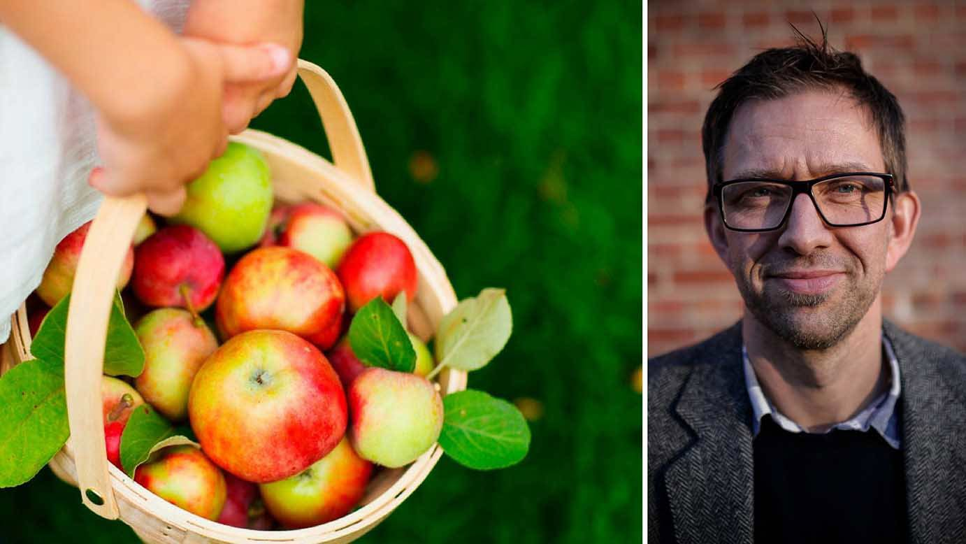 "For meg er Nanset definert av to lukter, det av syrin i Mai/ Juni og av epler i September. Det finnes eplehager og andre type hager andre steder i Larvik også, men hagene på Nanset er spesielle!" mener Bruce Atle Karlsen