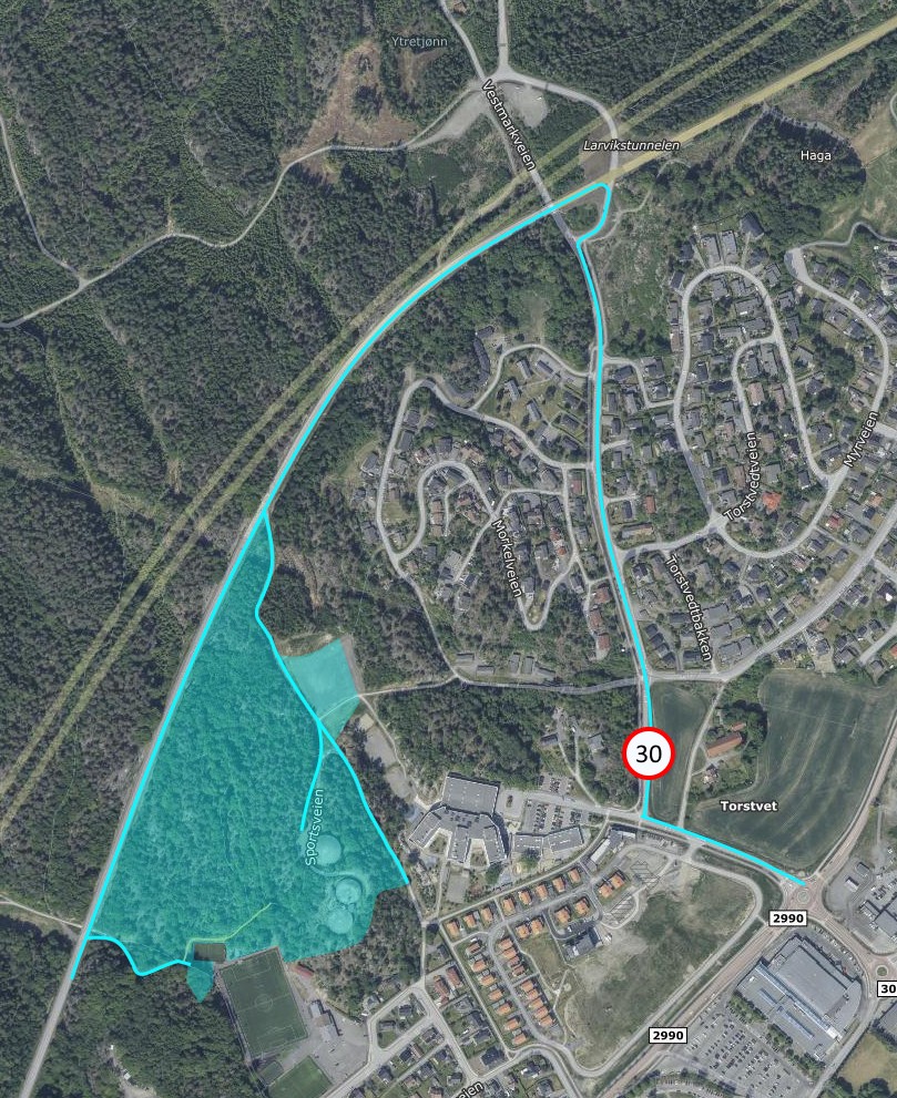 Anleggsvei og anleggsområde.jpg