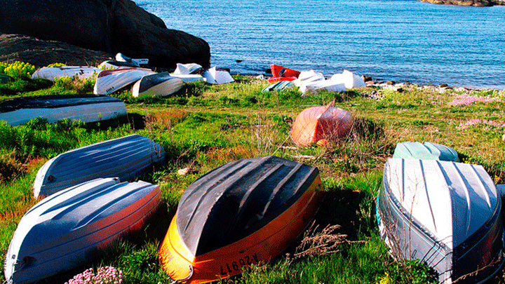 Høring - Revisjon av lokale atferdsregler