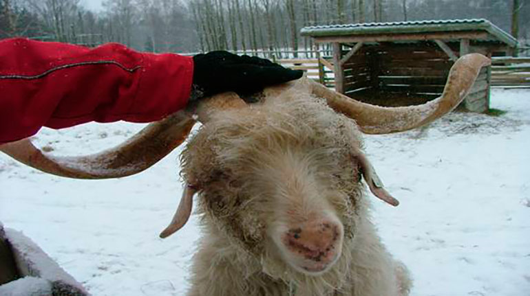 Bli kjent med landbrukskontoret