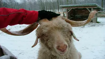 Bli kjent med landbrukskontoret