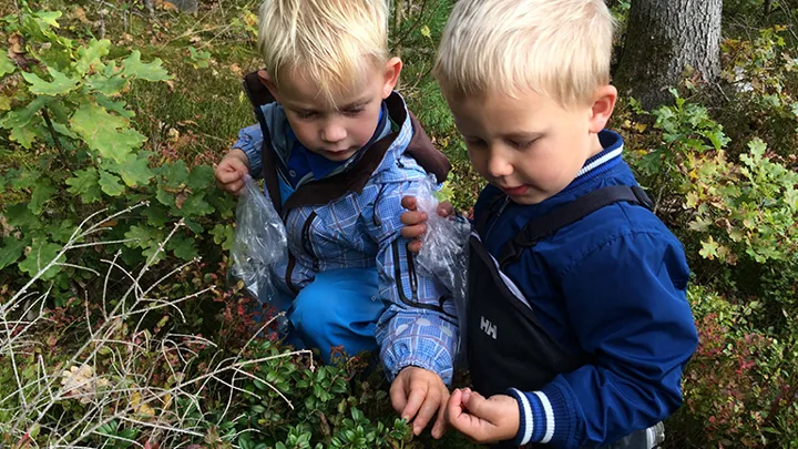 Om barnehagen - Larvik kommune