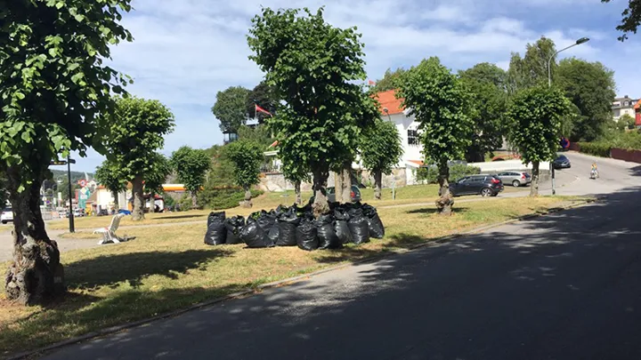 NAV Intro 28.06.2018 6, foto via Gry Frenche Tangen Snildal 770x433.jpg