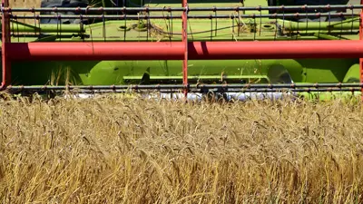 Brannsikkerhet ved innhøsting i landbruket