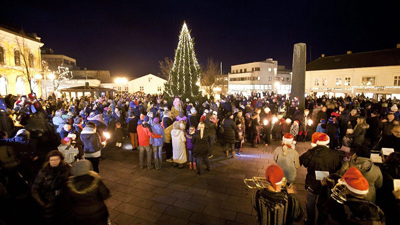 Leter etter årets juletrær