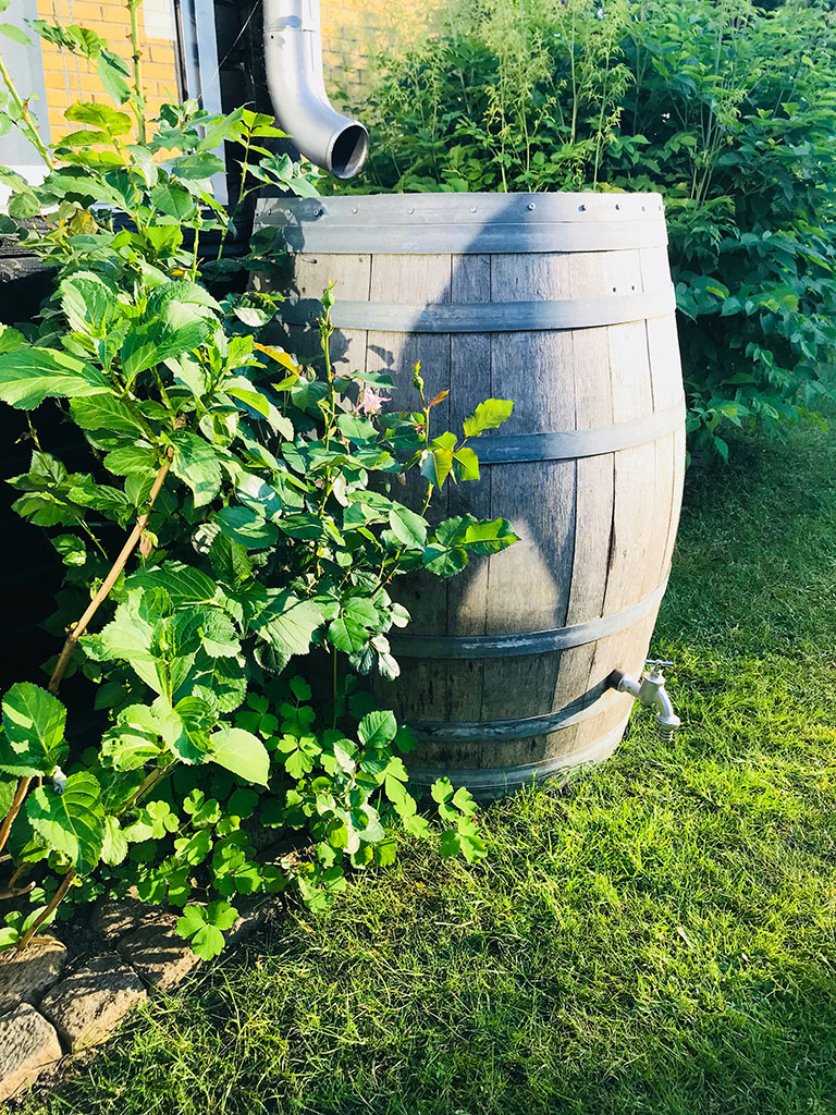 Regnvannstønne - foto VA SYD