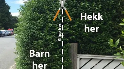 Ser du barna på den andre siden av hekken din?