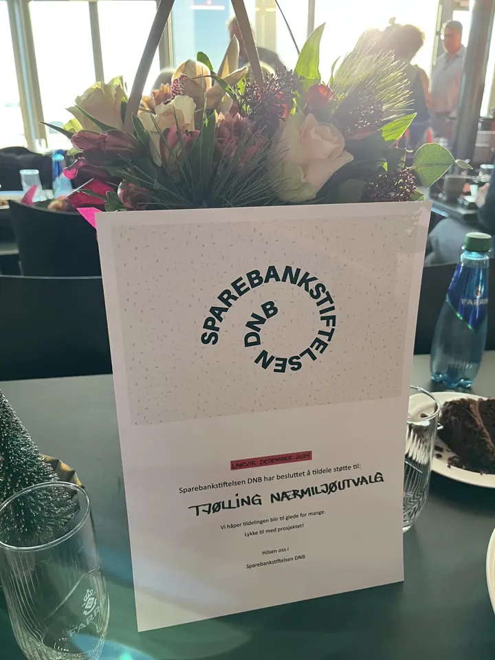 Diplop Fra DNB Sparebankstiftelsen