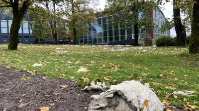 Slik håndterer Larvik kommune herjingene til «Amy» videre