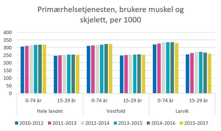 Web Primærhelsetjenesten Brukere Muskel Og Skjelett Per 1000