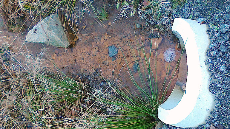 Mange tror dette er forurensning