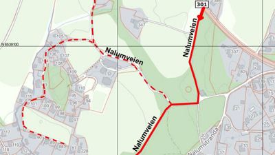 Høring av nytt veinavn – Nalumveien