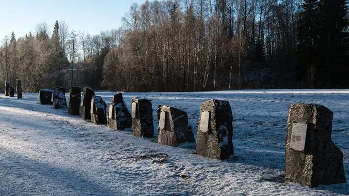 Tidslinjen I Kjærra I Vinterlys