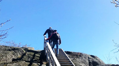 Turtips for påska
