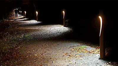 Lys langs Langreisa i Bøkeskogen