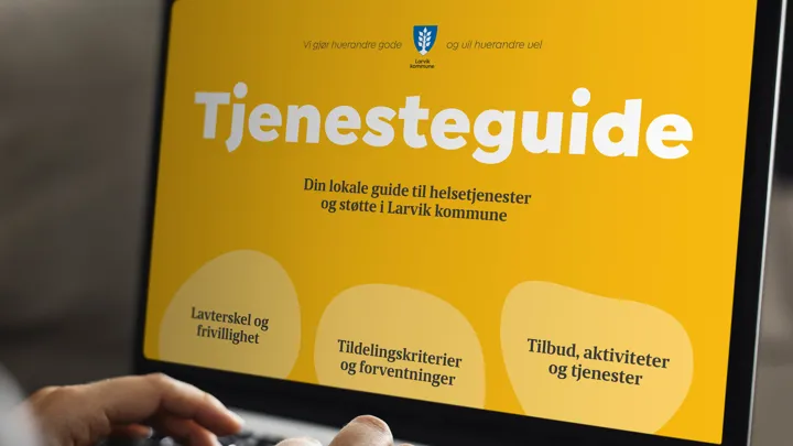 Tjenesteguide Helse Og Mestring Illustrasjon Digitalt