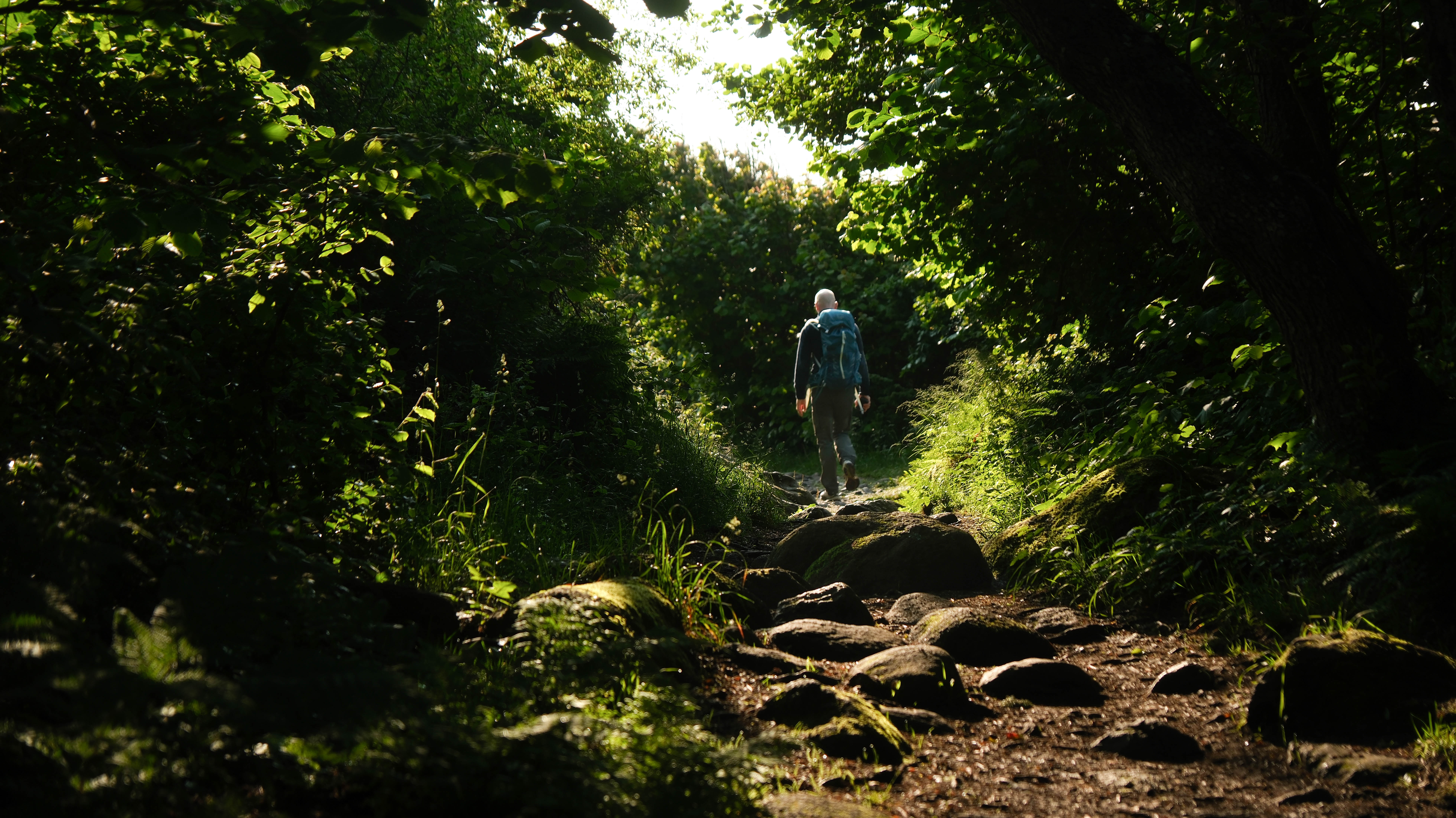 Kyststien i Brunales.jpg