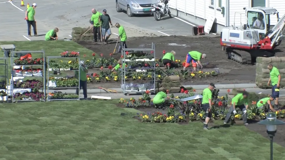 Indre Havn Planting