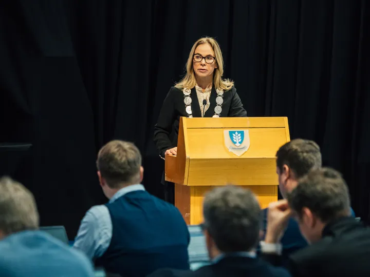 Birgitte Gulla Løken (1)