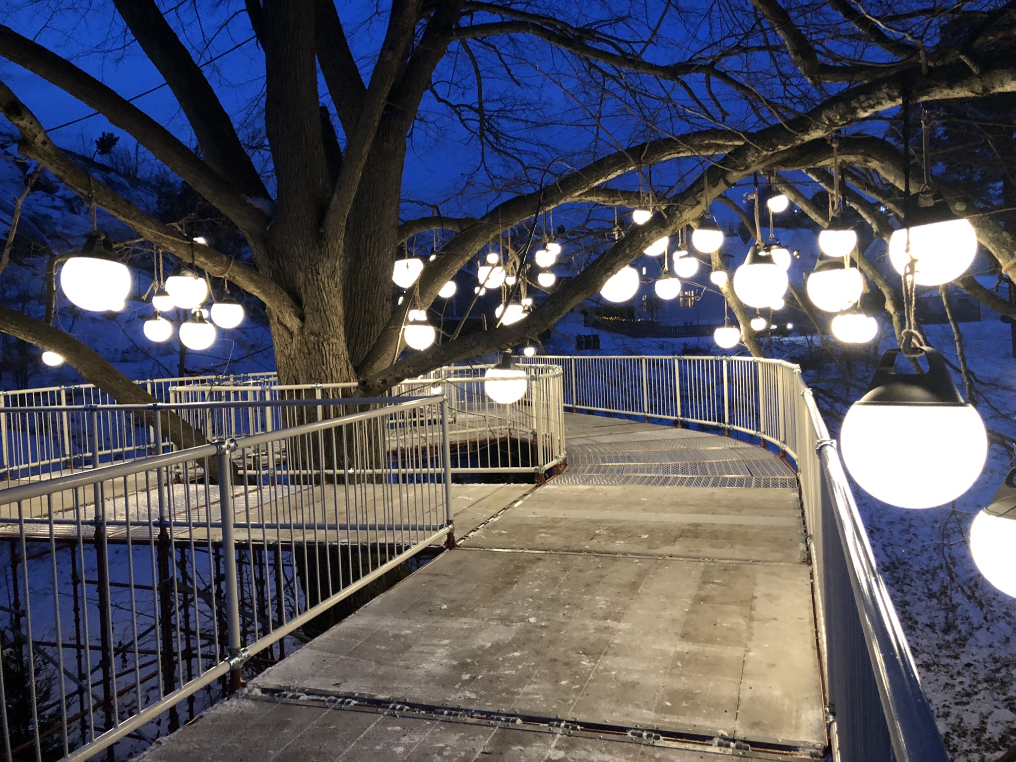 Nå skal Furumoa lyses opp i mørket