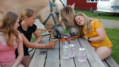 Gårdsferie på Fjære Gård