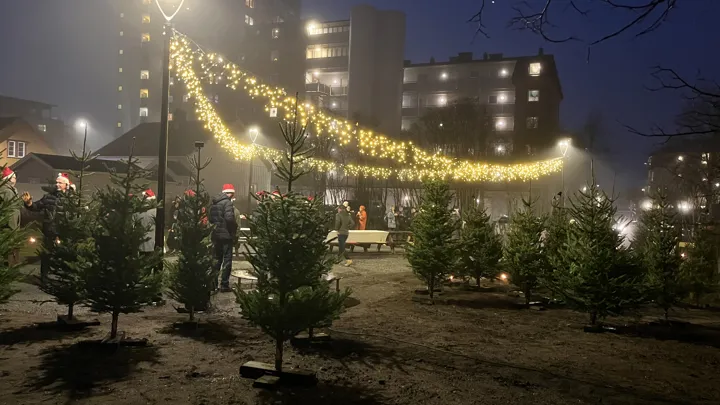 Vellykket pning Av Glassverksparken Larvik Kommune vellykket-pning-av-glassverksparken-larvik-kommune