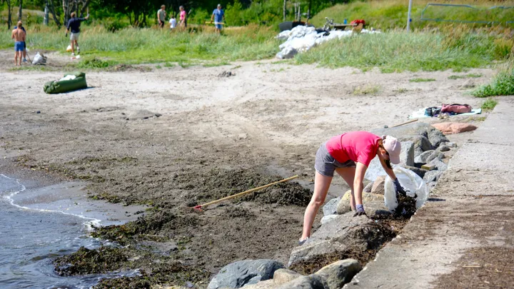 Strender Og Badesteder I Larvik Larvik Leverer 162