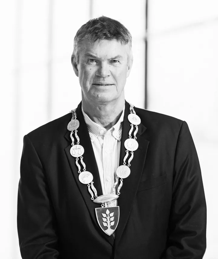 Erik Bringedal Høykant