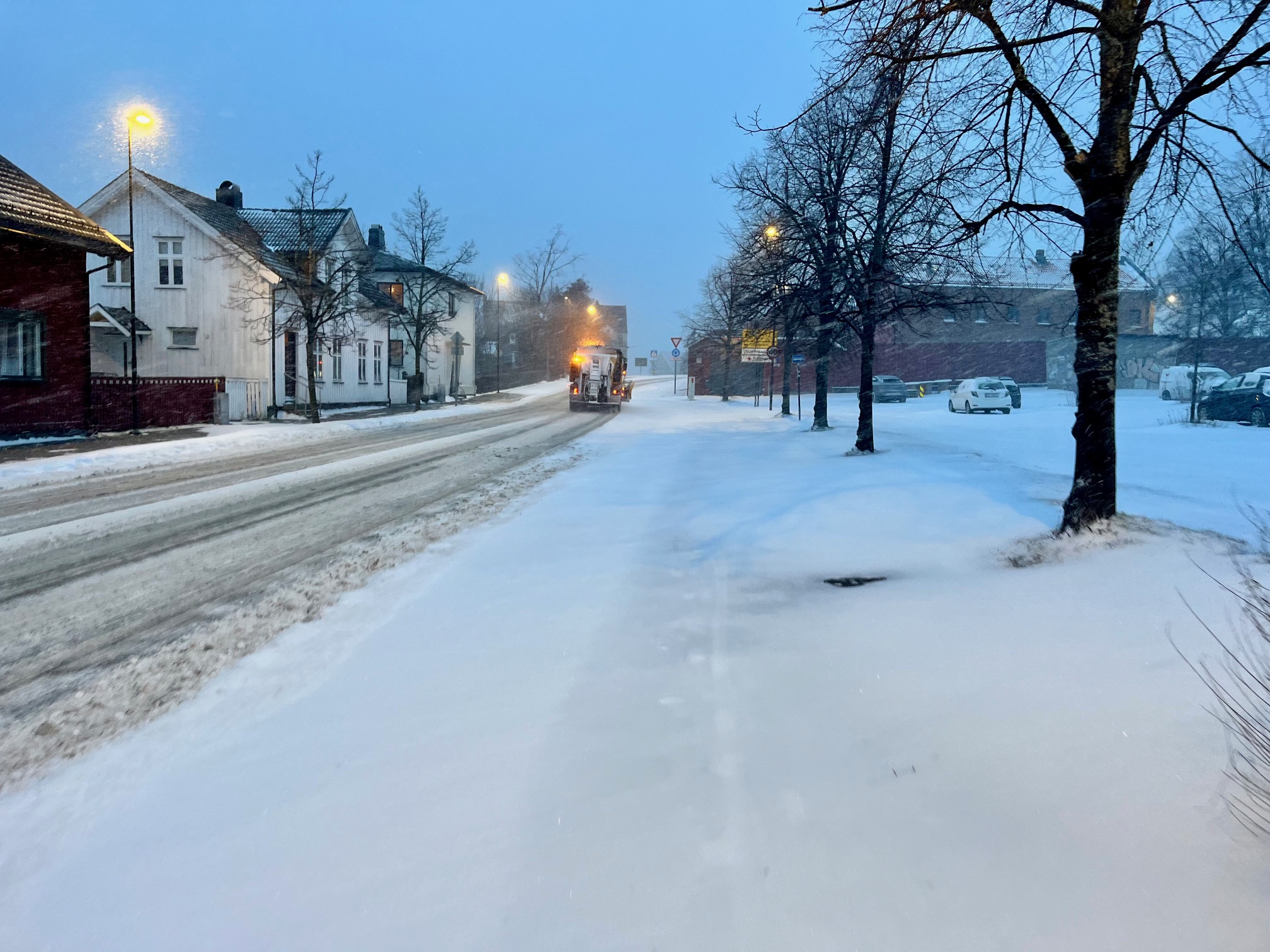 første snøvær 2026 3.jpg