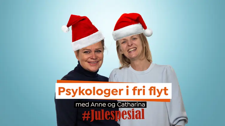 Psykologer i juleflyt