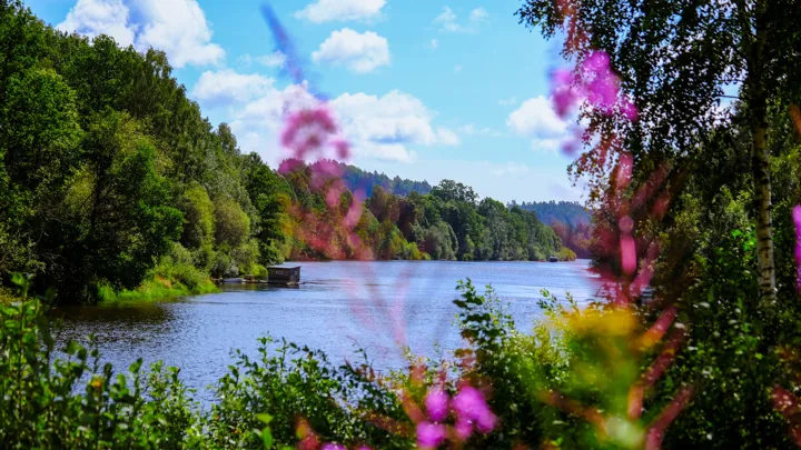 Lågen med skog og natur rundt