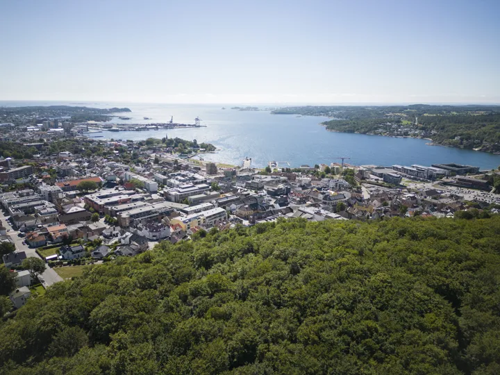 Larvikbybøkeskogen