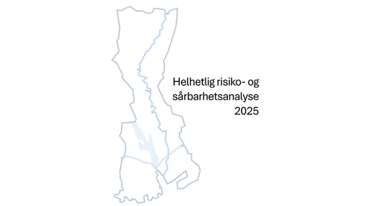 An illustration of a simple map of Larvik kommune