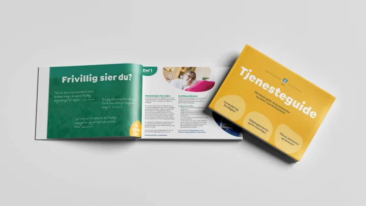 Tjenesteguide Helse Og Mestring Illustrasjon Trykk