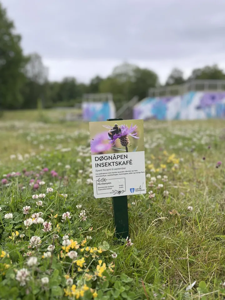 Døgnåpen Insektskafe (2)