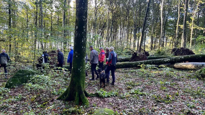 bøkeskogen etter amy 2.jpg