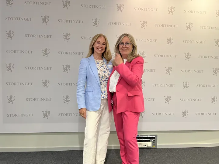 Birgitte Gulla Løken På Stortinget