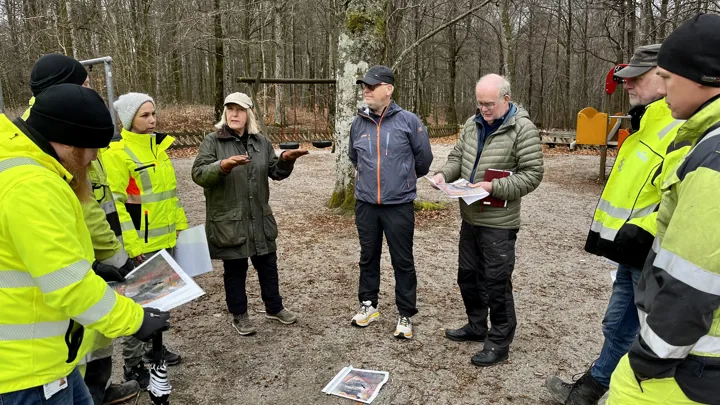 Lekeplass Bøkeskogen