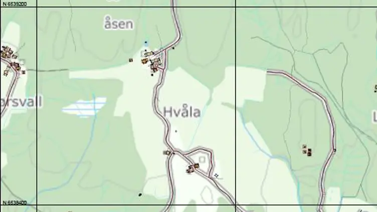 Kunngjøring - vedtak for stedsnavnet Hvåla