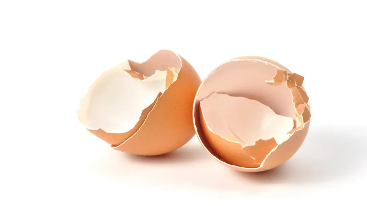 Eggeskall Istock