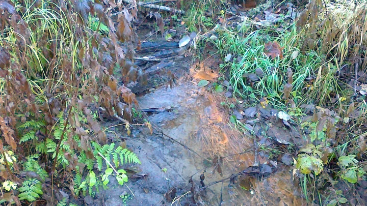 Arkivfoto Jernutfelling