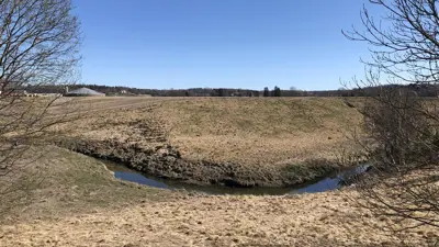 Nå kan du få gratis planter til beplantning av elvekanter!