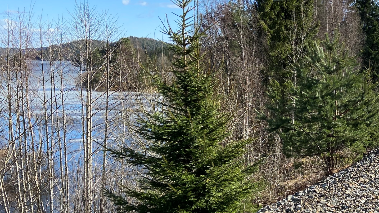 Fra togspor til turvei mellom Larvik og Porsgrunn - nå blir det folkemøter
