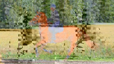 Har din forening innspill til fremtidig bruk av Gumserød gård?