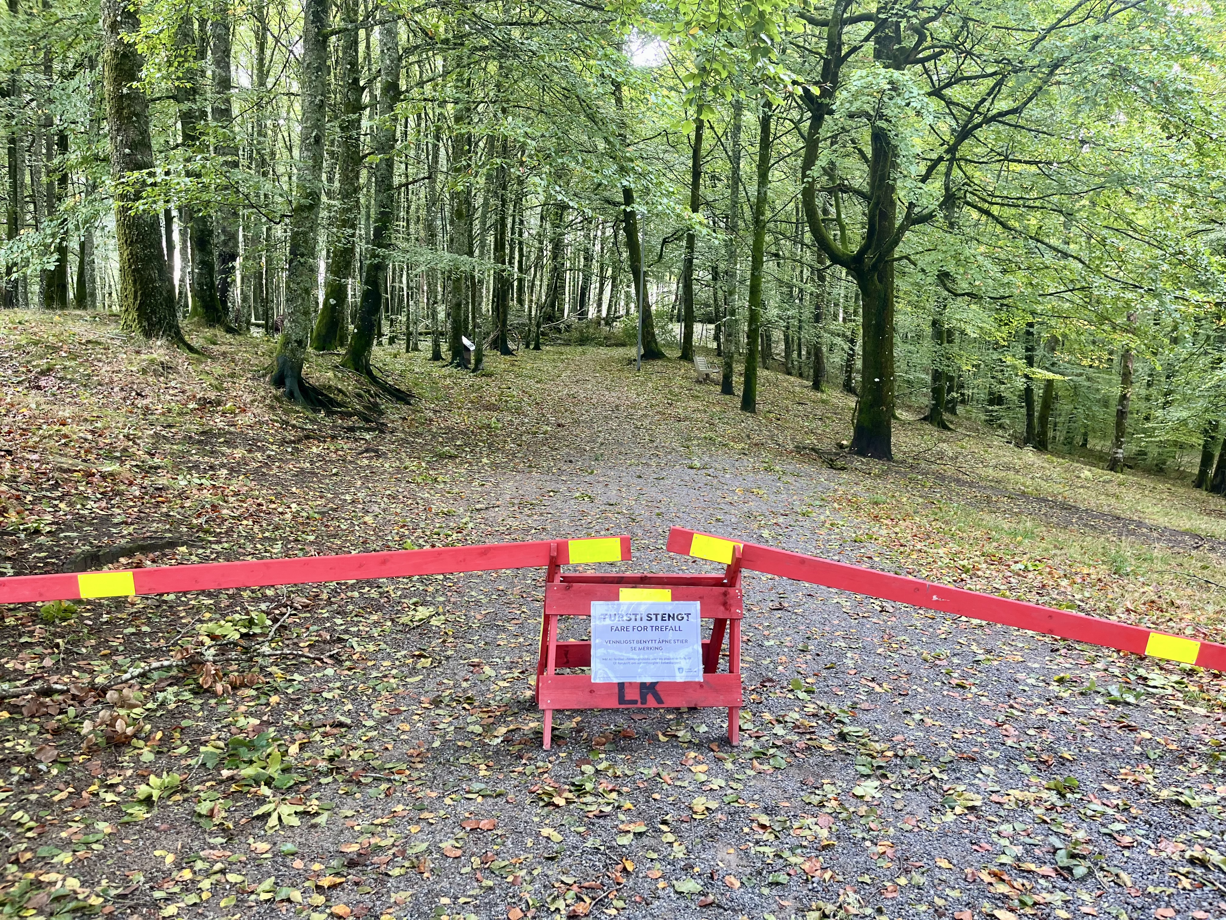Sperrer av områder i Bøkeskogen - opprydning starter tirsdag