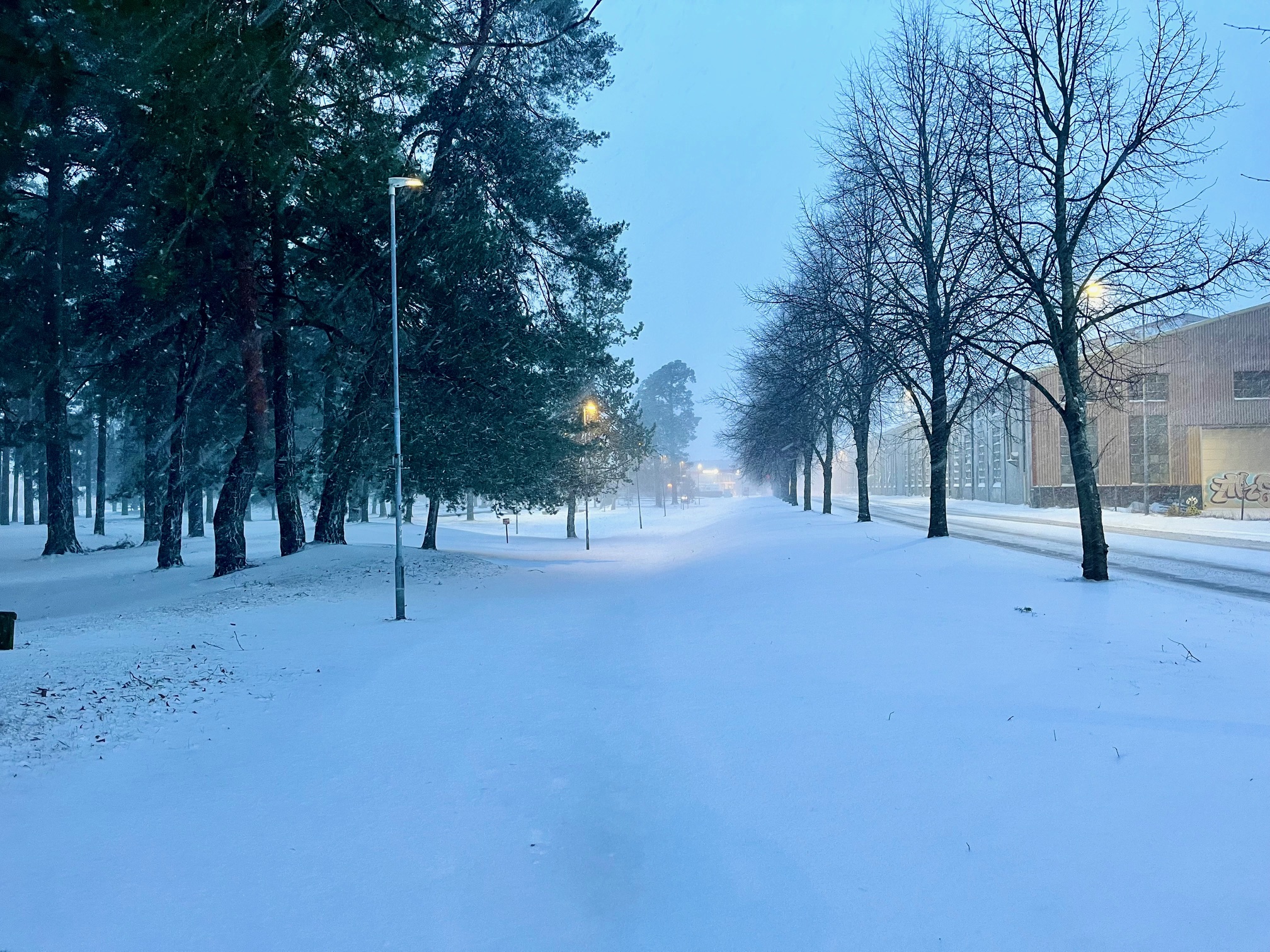 første snøvær 2026.jpg