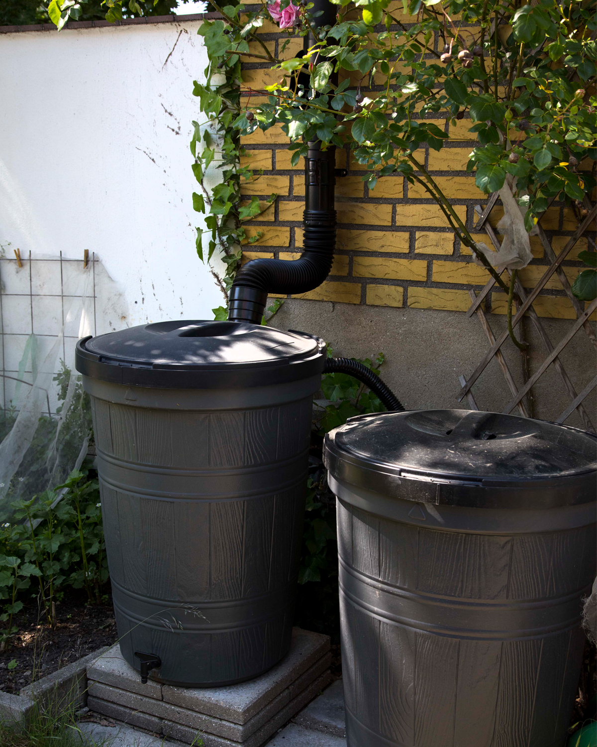 Regnvannstønner - foto VA SYD